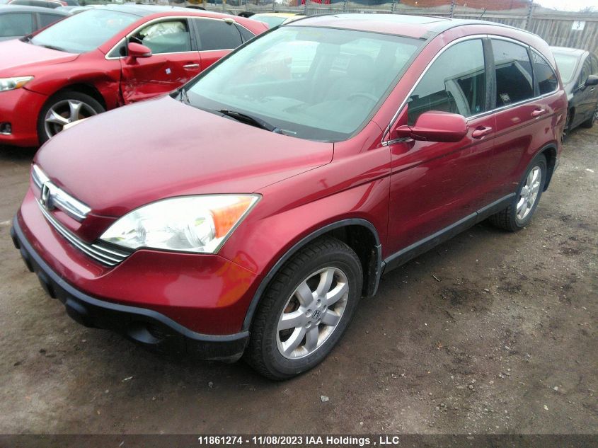 2007 Honda Cr-V Ex-L VIN: 5J6RE48737L818021 Lot: 11861274