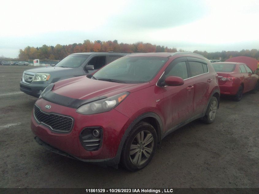 2017 Kia Sportage Lx VIN: KNDPMCAC7H7175555 Lot: 11861529