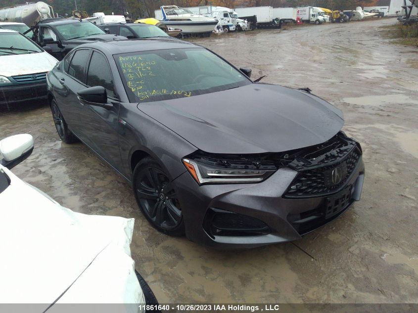 2022 Acura Tlx A-Spec VIN: 19UUB6F56NA801102 Lot: 11861640