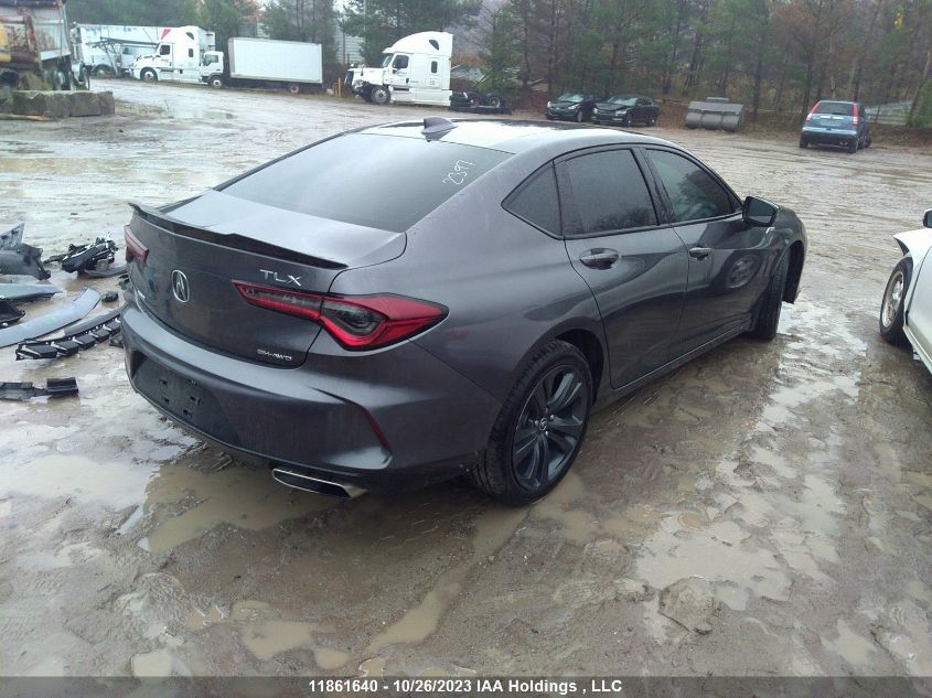 2022 Acura Tlx A-Spec VIN: 19UUB6F56NA801102 Lot: 11861640