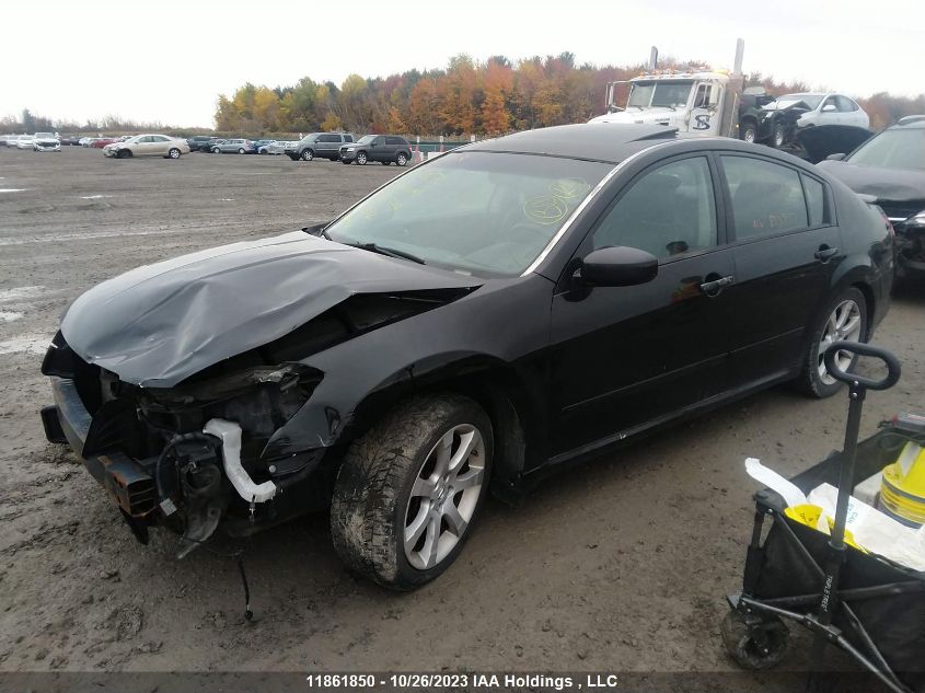 2008 Nissan Maxima VIN: 1N4BA41E48C833937 Lot: 11861850