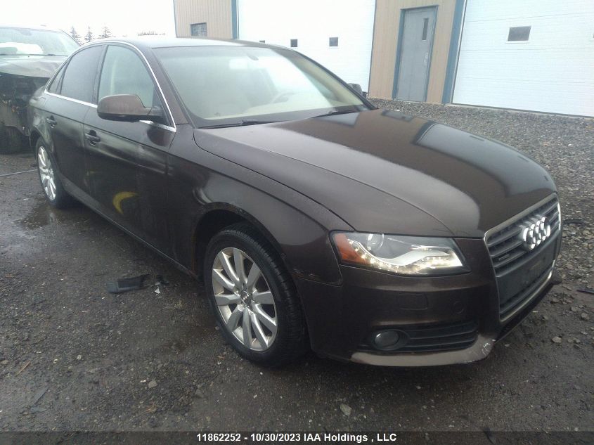 2011 Audi A4 2.0T VIN: WAUFFCFL5BN004320 Lot: 11862252