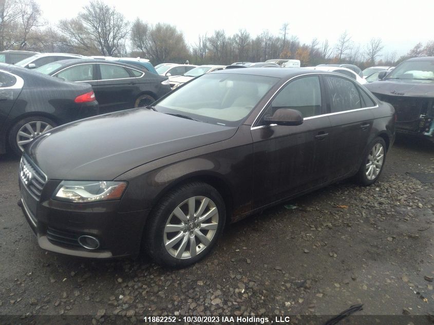 2011 Audi A4 2.0T VIN: WAUFFCFL5BN004320 Lot: 11862252