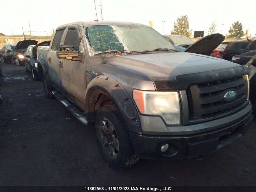 2009 Ford F-150 Xlt/Fx4/Lariat VIN: 1FTPW14V89FB49436 Lot: 11862553