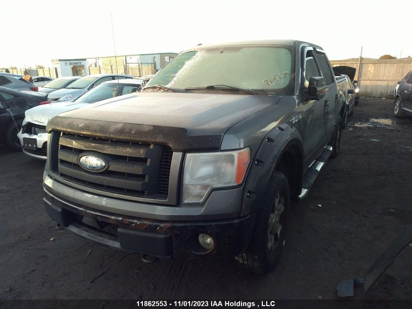 2009 Ford F-150 Xlt/Fx4/Lariat VIN: 1FTPW14V89FB49436 Lot: 11862553