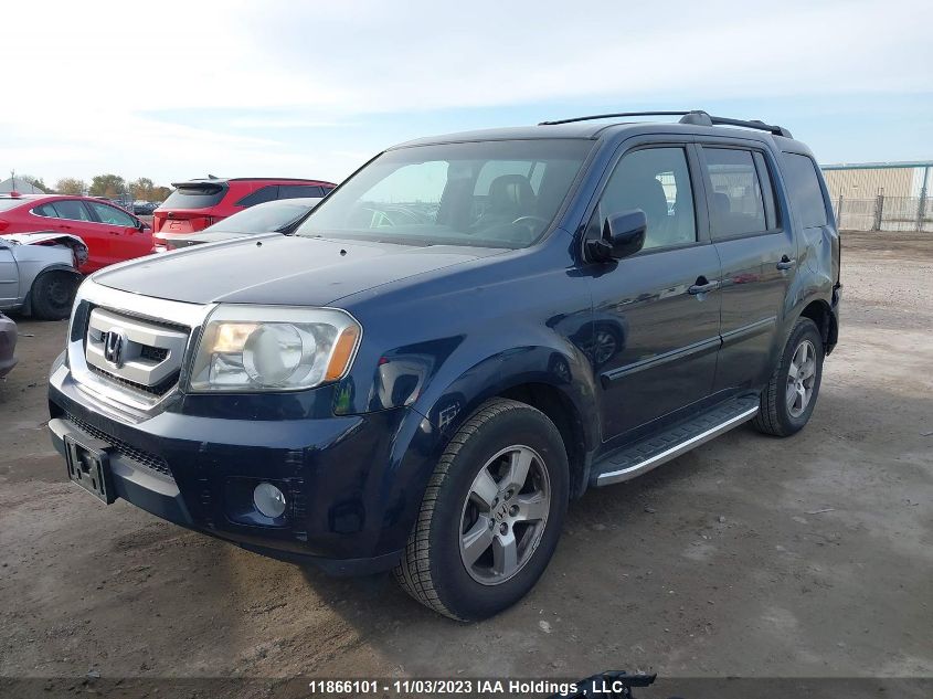 2010 Honda Pilot Ex-L VIN: 5FNYF4H54AB503400 Lot: 11866101