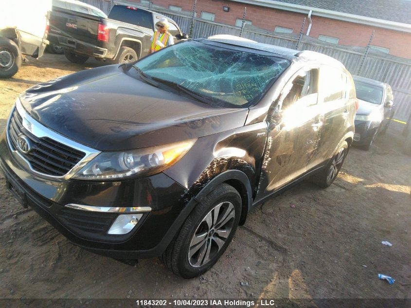 2012 Kia Sportage Ex VIN: KNDPCCA22C7311819 Lot: 11843202X