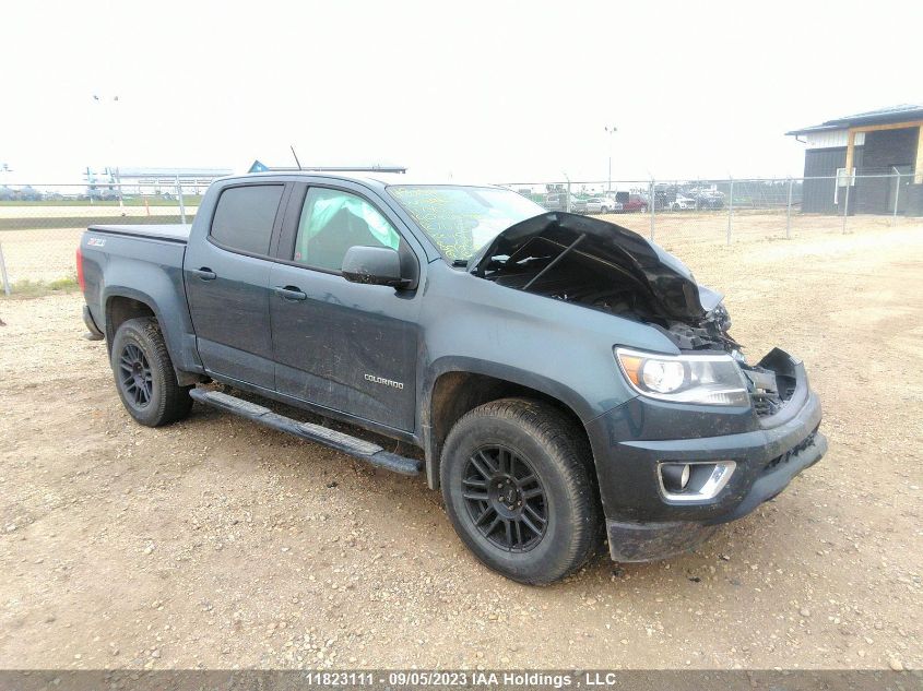 2019 Chevrolet Colorado 4Wd Z71 VIN: 1GCGTDEN8K1117405 Lot: 11823111X