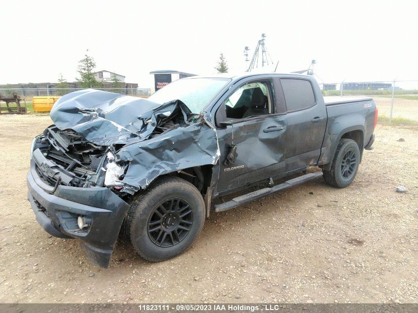 2019 Chevrolet Colorado 4Wd Z71 VIN: 1GCGTDEN8K1117405 Lot: 11823111X