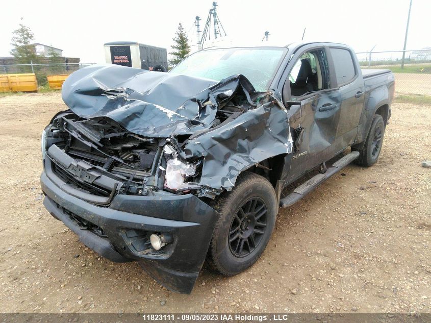 2019 Chevrolet Colorado 4Wd Z71 VIN: 1GCGTDEN8K1117405 Lot: 11823111X