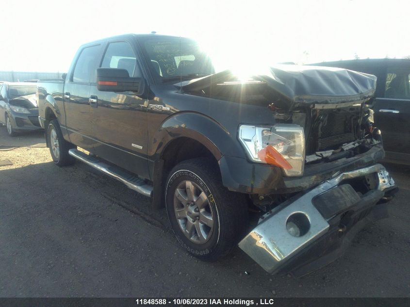 2013 Ford F-150 Xlt/Fx4/Lariat VIN: 1FTFW1ET3DFA55787 Lot: 11848588X