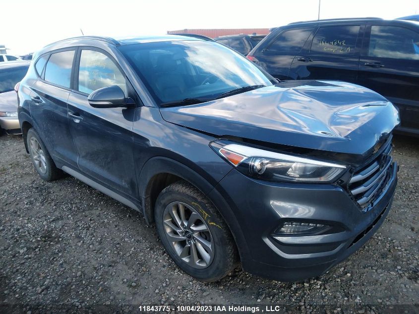 2017 Hyundai Tucson Se VIN: KM8J3CA42HU580219 Lot: 11843775X