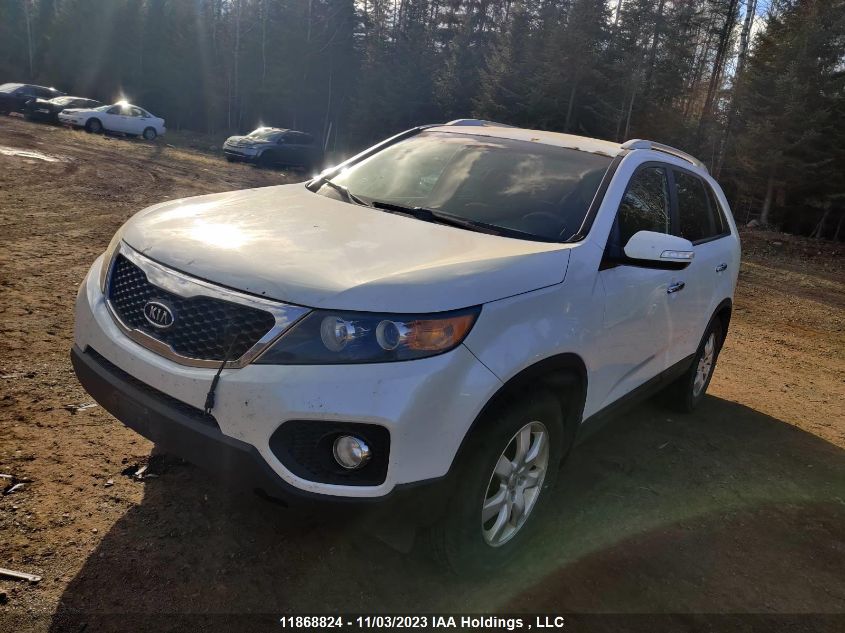 2012 Kia Sorento Lx VIN: 5XYKT3A66CG281577 Lot: 11868824