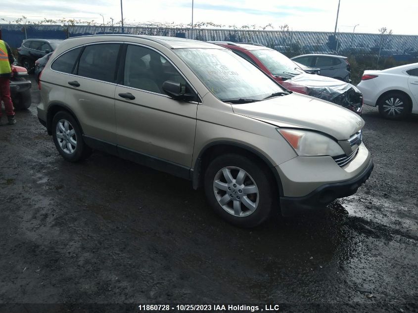 2009 Honda Cr-V Ex VIN: 5J6RE48529L814561 Lot: 11860728X