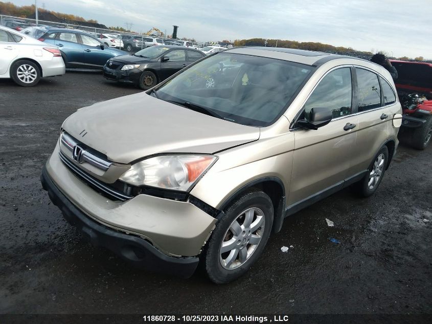 2009 Honda Cr-V Ex VIN: 5J6RE48529L814561 Lot: 11860728X