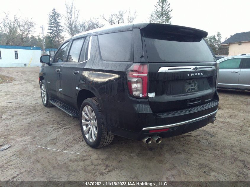 2023 Chevrolet Tahoe VIN: 1GNSKSKDXPR463629 Lot: 11870262