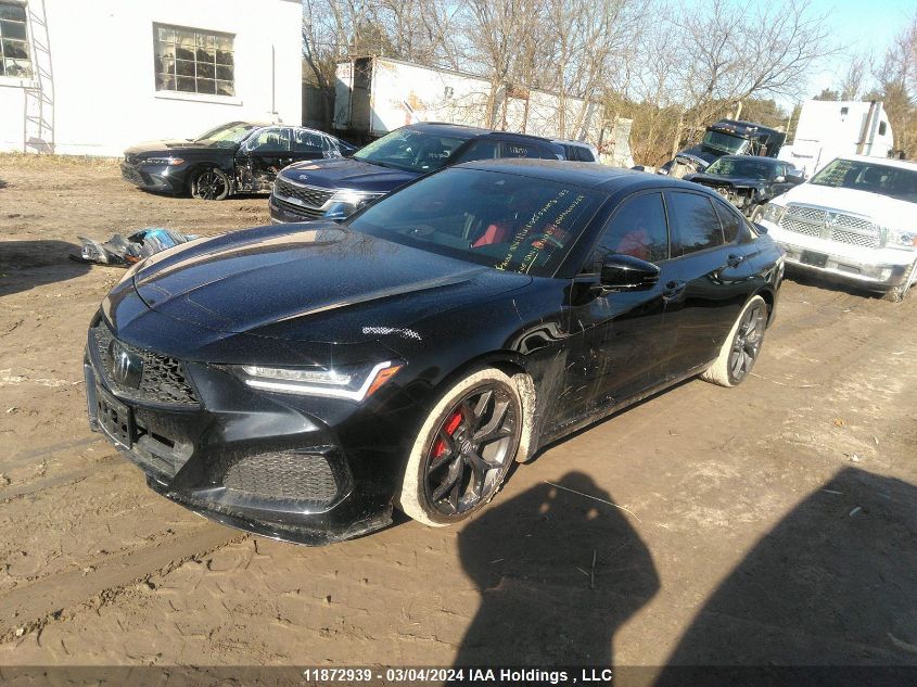 2022 Acura Tlx VIN: 19UUB7F06NA800221 Lot: 11872939