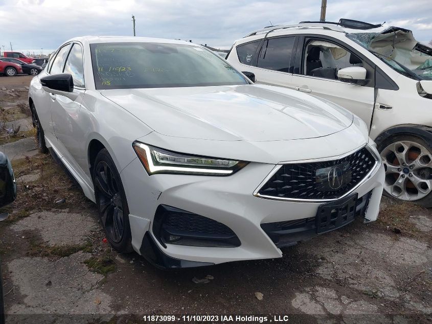 2021 Acura Tlx Platinum Elite VIN: 19UUB6F97MA801501 Lot: 11873099