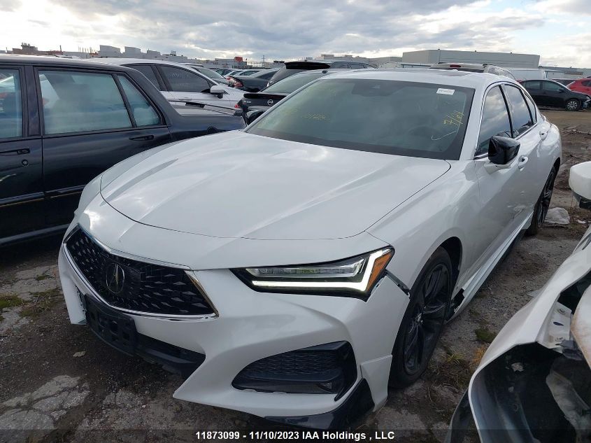 2021 Acura Tlx Platinum Elite VIN: 19UUB6F97MA801501 Lot: 11873099