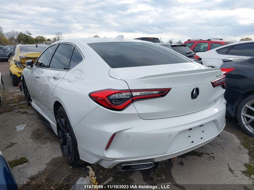 2021 Acura Tlx Platinum Elite VIN: 19UUB6F97MA801501 Lot: 11873099