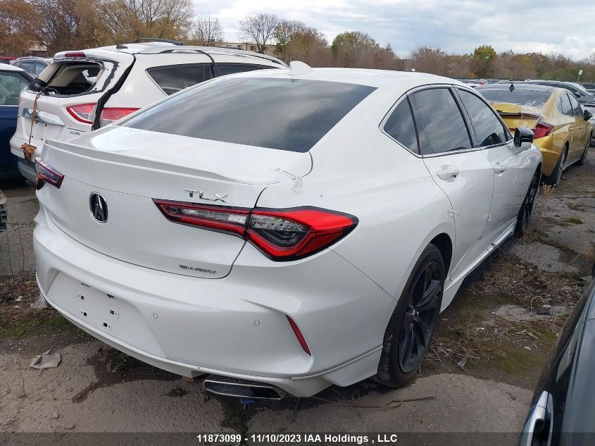 2021 Acura Tlx Platinum Elite VIN: 19UUB6F97MA801501 Lot: 11873099