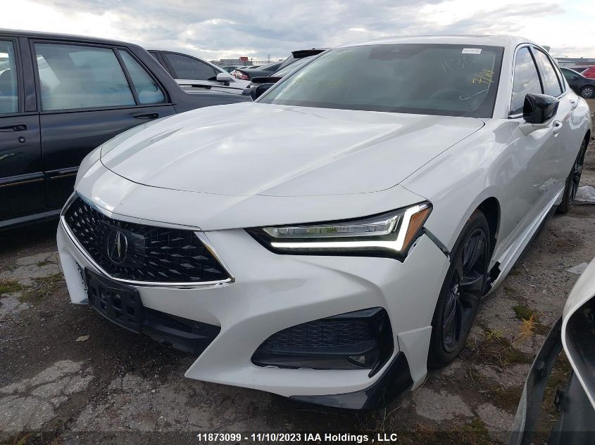 2021 Acura Tlx Platinum Elite VIN: 19UUB6F97MA801501 Lot: 11873099