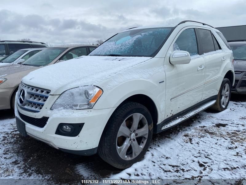 2010 Mercedes-Benz Ml 350 Bluetec VIN: 4JGBB2FB3AA613843 Lot: 11876392