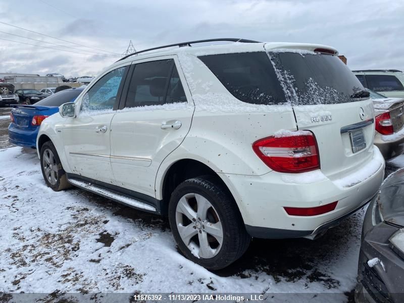 2010 Mercedes-Benz Ml 350 Bluetec VIN: 4JGBB2FB3AA613843 Lot: 11876392