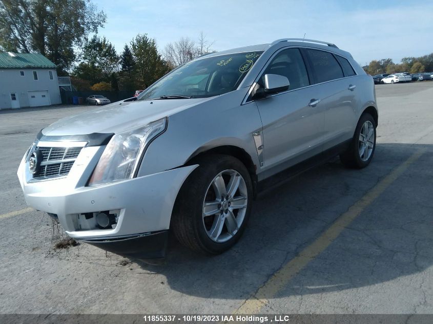 2010 Cadillac Srx 3.0 Premium VIN: 3GYFNFEY5AS523743 Lot: 11855337X