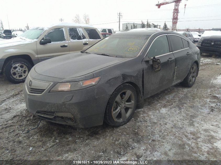 2014 Acura Tl VIN: 19UUA9F24EA800783 Lot: 11861071X