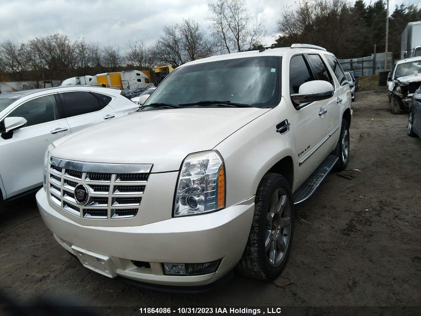 2007 Cadillac Escalade VIN: 1GYFK63867R254868 Lot: 11864086X