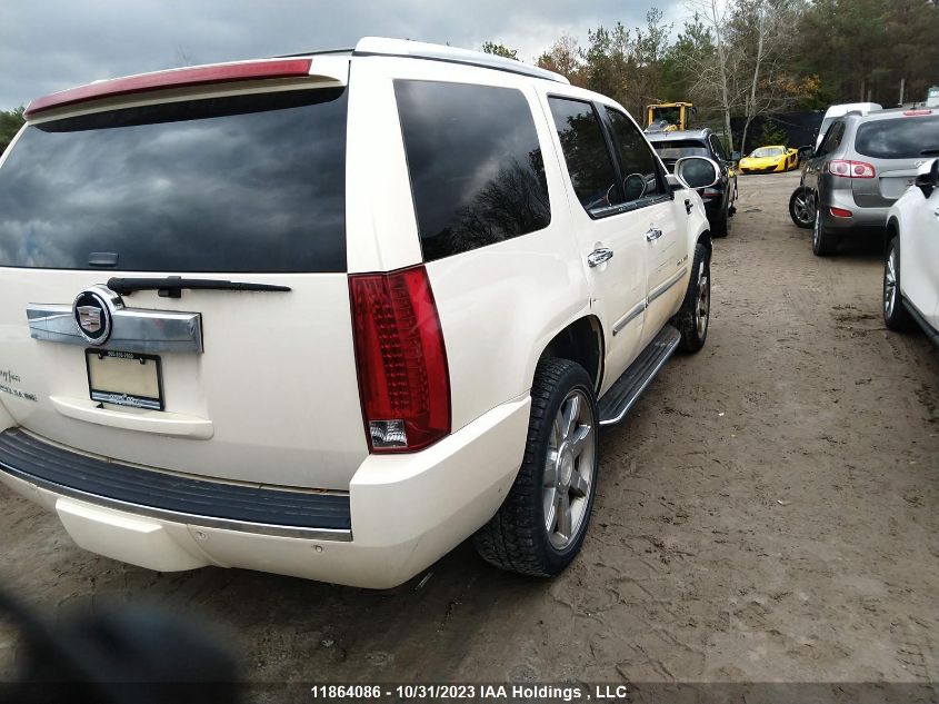 2007 Cadillac Escalade VIN: 1GYFK63867R254868 Lot: 11864086X