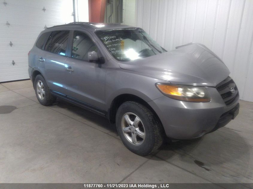 2007 Hyundai Santa Fe Gl 5Pass VIN: 5NMSG13D17H100546 Lot: 11877760