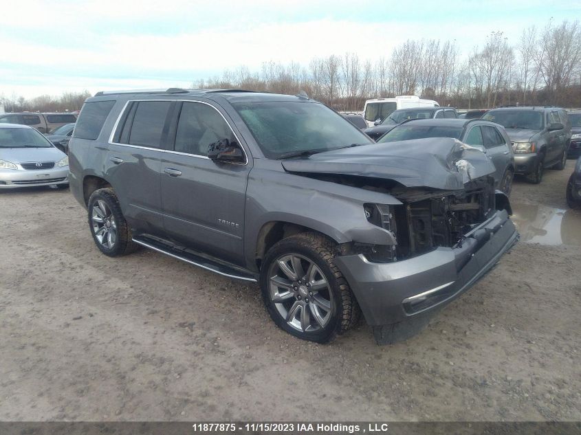 2019 Chevrolet Tahoe K1500 Premier VIN: 1GNSKCKC3KR250379 Lot: 11877875