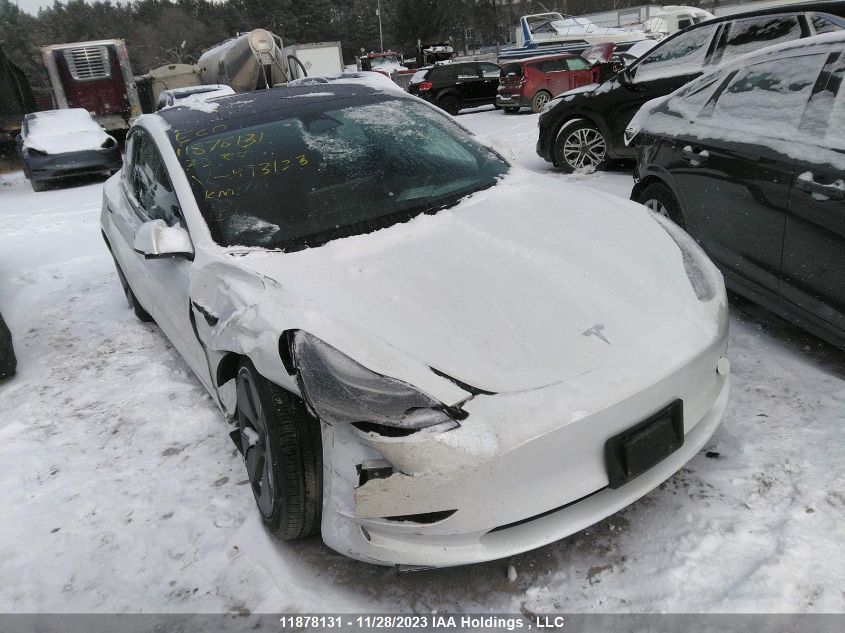 2023 Tesla Model 3 VIN: 5YJ3E1EAXPF493123 Lot: 11878131