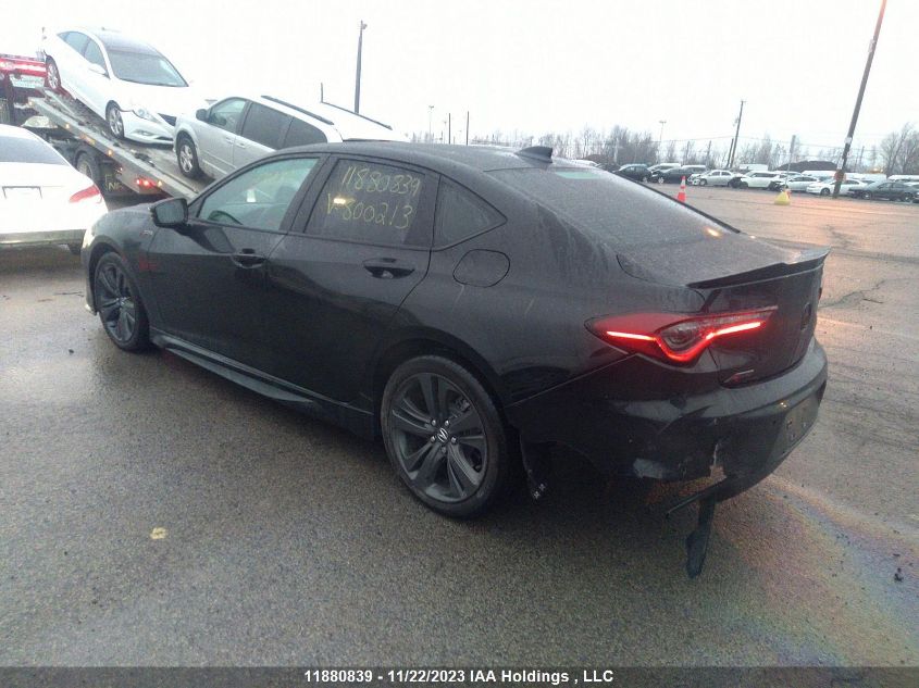 2023 Acura Tlx A-Spec VIN: 19UUB6F56PA800213 Lot: 11880839