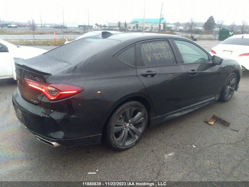 2023 Acura Tlx A-Spec VIN: 19UUB6F56PA800213 Lot: 11880839