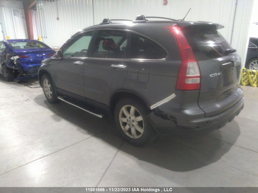 2010 Honda Cr-V VIN: 5J6RE4H32AL800579 Lot: 11881686