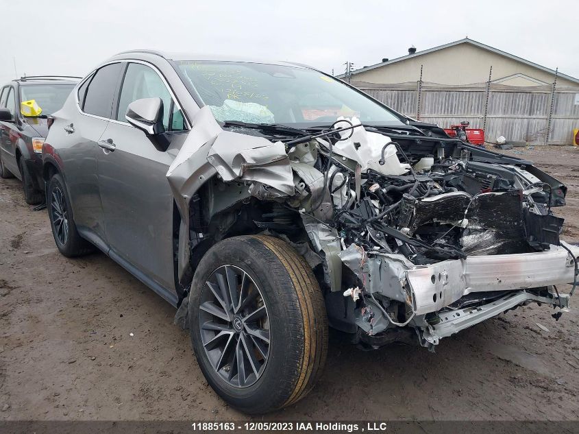 2022 Lexus Nx 250 VIN: 2T2ADCEZ4NC002313 Lot: 11885163