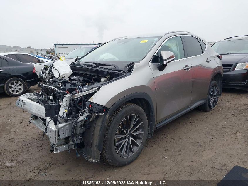 2022 Lexus Nx 250 VIN: 2T2ADCEZ4NC002313 Lot: 11885163