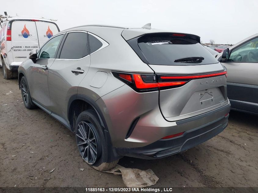 2022 Lexus Nx 250 VIN: 2T2ADCEZ4NC002313 Lot: 11885163