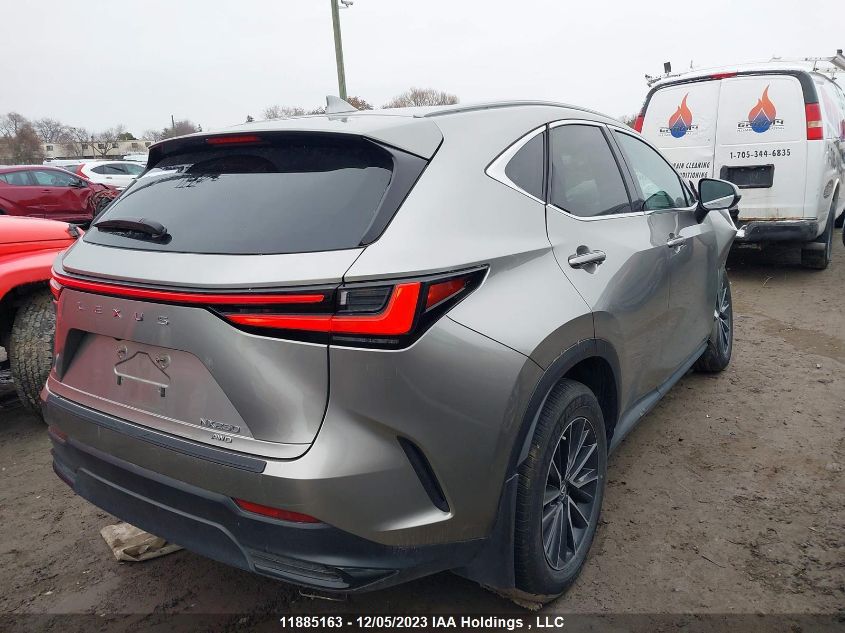 2022 Lexus Nx 250 VIN: 2T2ADCEZ4NC002313 Lot: 11885163