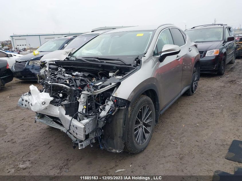 2022 Lexus Nx 250 VIN: 2T2ADCEZ4NC002313 Lot: 11885163