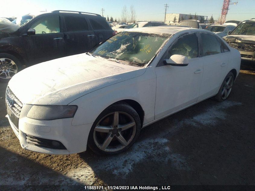 2012 Audi A4 2.0T Premium VIN: WAUFFCFL2CN005006 Lot: 11885171