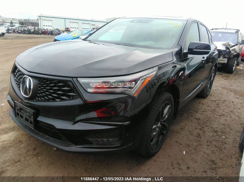 2019 Acura Rdx A-Spec VIN: 5J8TC2H64KL806080 Lot: 11886447