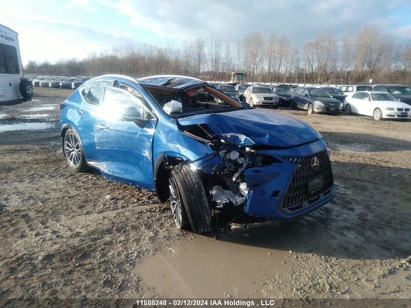 2022 Lexus Nx 450H+ VIN: JTJHKCFZ4N2012231 Lot: 11888248