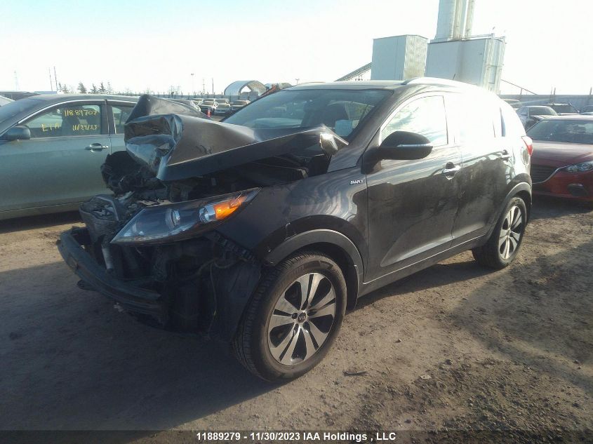 2013 Kia Sportage Ex VIN: KNDPCCA25D7488981 Lot: 11889279