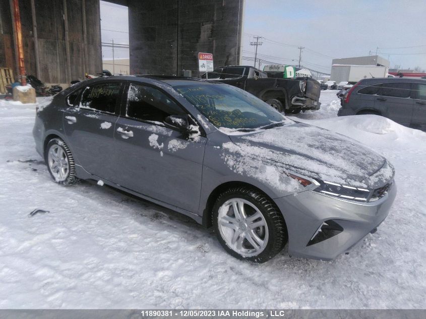 2023 Kia Forte VIN: 3KPF54AD3PE558138 Lot: 11890381