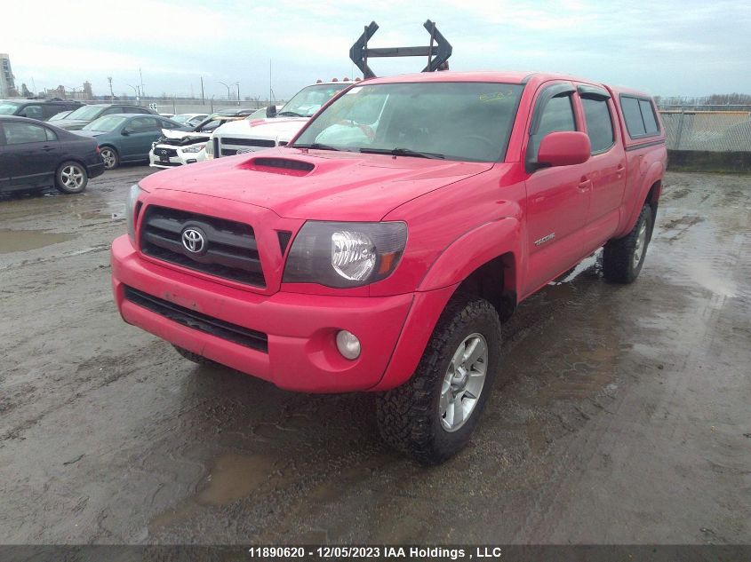 2008 Toyota Tacoma VIN: 5TEMU52N98Z487917 Lot: 11890620