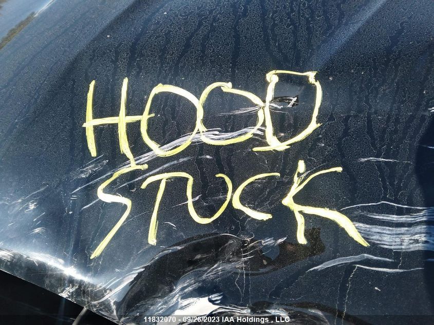 2004 BMW X5 4.4I VIN: 5UXFB53534LV02917 Lot: 11832070X